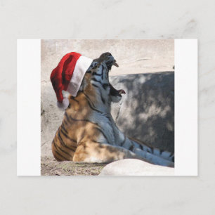 Bengale tijger met een Santa Hat Feestdagenkaart