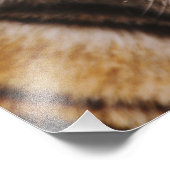 Bengale tijger, Panthera tigris Foto Afdruk (Hoek)