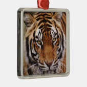 Bengale tijger, Panthera tigris Metalen Ornament (Rechts)