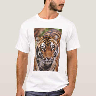 Bengale tijger, Panthera tigris T-shirt