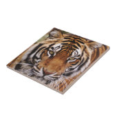 Bengale tijger, Panthera tigris Tegeltje (Zijkant)