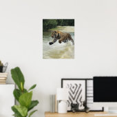 Bengale tijgerlading (Panthera tigris tigris) Poster (Thuiskantoor)