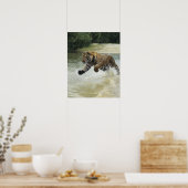 Bengale tijgerlading (Panthera tigris tigris) Poster (Keuken)