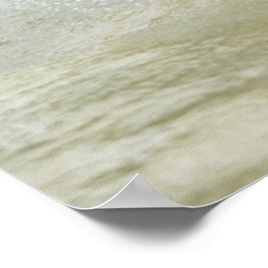 Bengale tijgerlading (Panthera tigris tigris) Poster (Hoek)