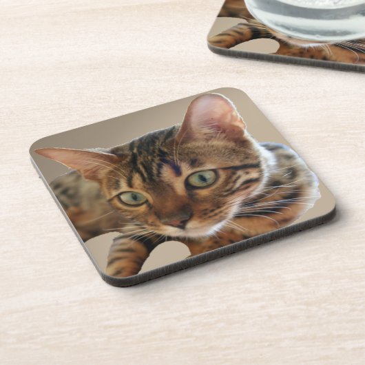 Bengalen Bier Onderzetter (Linkerzijde)