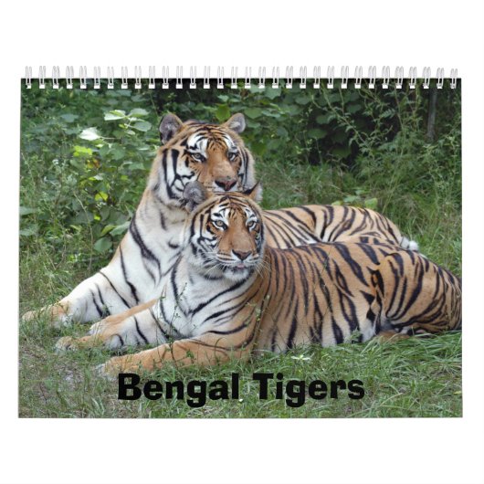Bengalen, bogen, bogen kalender (Hoes)