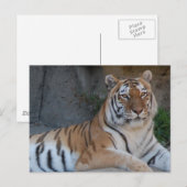 Bengalen Briefkaart (Voorkant / Achterkant)