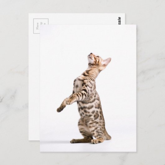 Bengalen Briefkaart (Voorkant / Achterkant)