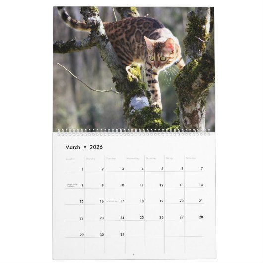 Bengalen Kalender (Mar 2026)