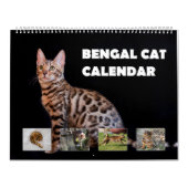 Bengalen Kalender (Hoes)