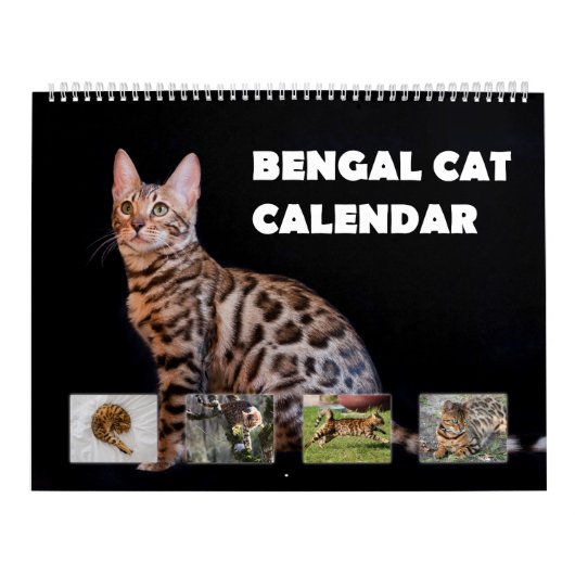 Bengalen Kalender (Hoes)