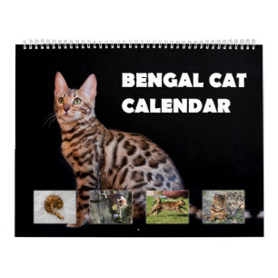 Bengalen Kalender