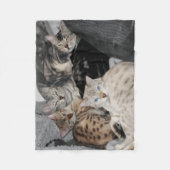 Bengalen Kat Fleece Deken (Voorkant)