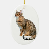 Bengalen Keramisch Ornament (Voorkant)