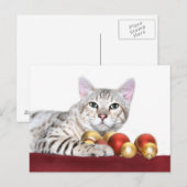 Bengalen kerstmis feestdagenkaart (Voorkant / Achterkant)