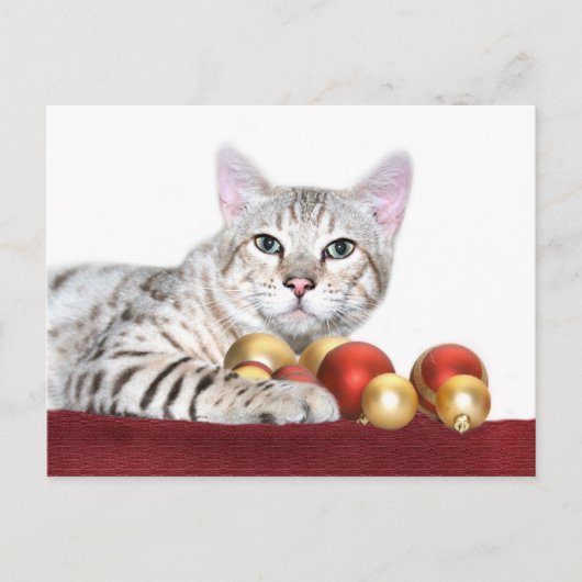 Bengalen kerstmis feestdagenkaart (Voorkant)