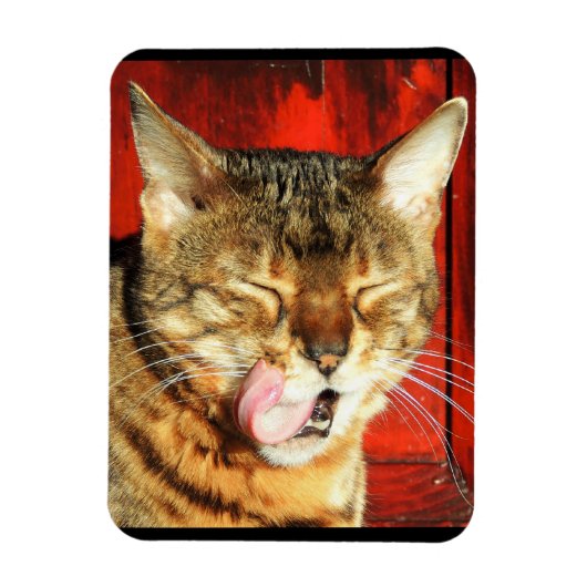 Bengalen liefde foto magneet (Verticaal)