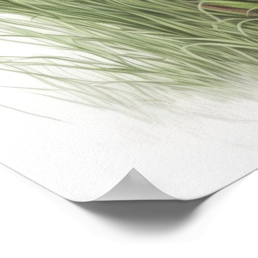 Bengalen Pet Cat Poster (Hoek)