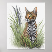 Bengalen Pet Cat Poster (Voorkant)