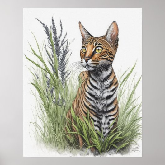 Bengalen Pet Cat Poster (Voorkant)