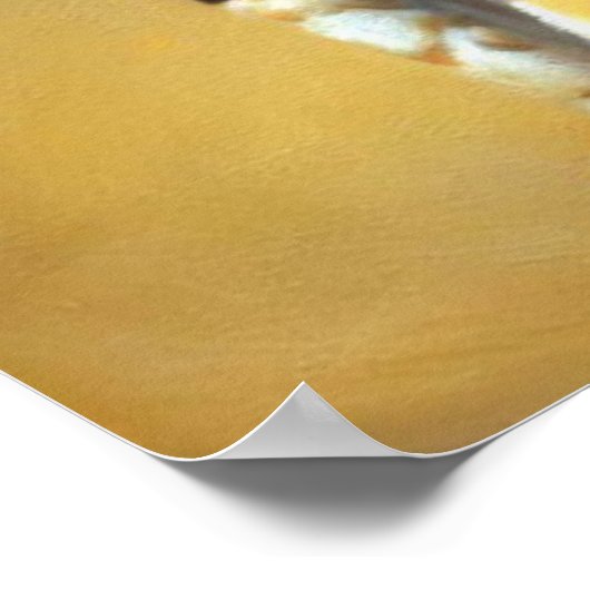 Bengalen Poster (Hoek)