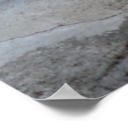 Bengalen Poster (Hoek)