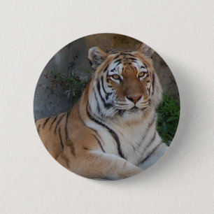 Bengalen Ronde Button 5,7 Cm