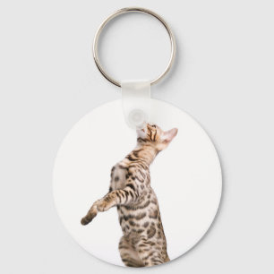 Bengalen Sleutelhanger