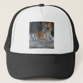 Bengalen Trucker Pet (Voorkant)