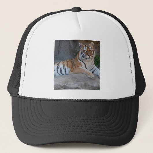 Bengalen Trucker Pet (Voorkant)