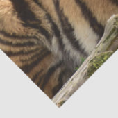 Bengalen van de tropische palm van Tiger Tissuepapier (Detail)