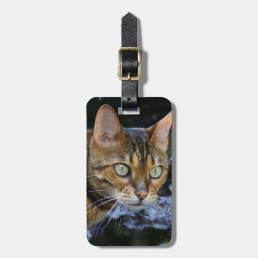 Bengalen van snuitjes bagagelabel (Voorkant verticaal)