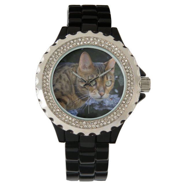 Bengalen van snuitjes horloge (Voorkant)