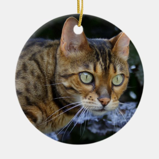 Bengalen van snuitjes keramisch ornament (Voorkant)