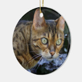 Bengalen van snuitjes keramisch ornament (Links)