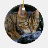 Bengalen van snuitjes keramisch ornament (Achterkant)