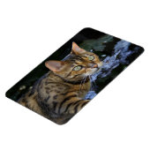 Bengalen van snuitjes magneet (Linkerzijde)