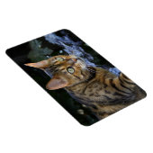 Bengalen van snuitjes magneet (Rechterzijde)