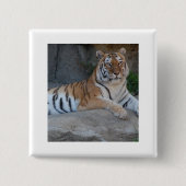 Bengalen Vierkante Button 5,1 Cm (Voorkant)