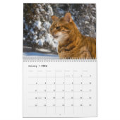 Bengalen voor Jet-instellingen Kalender (Jan 2026)