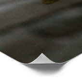 Bengalen witte tijger staren naar je fotografie poster (Hoek)