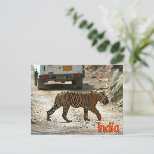 Bengaltijger Briefkaart (Staand voorkant)