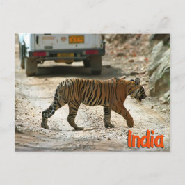 Bengaltijger Briefkaart