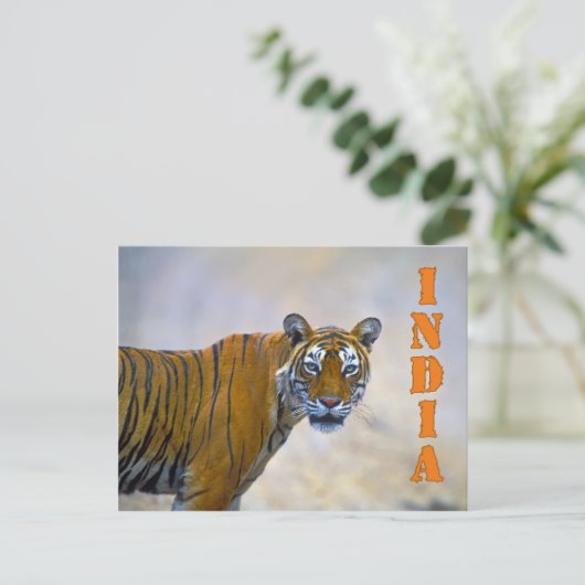 Bengaltijger Briefkaart (Staand voorkant)