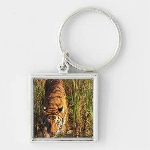 Bengaltijger in wetlands sleutelhanger