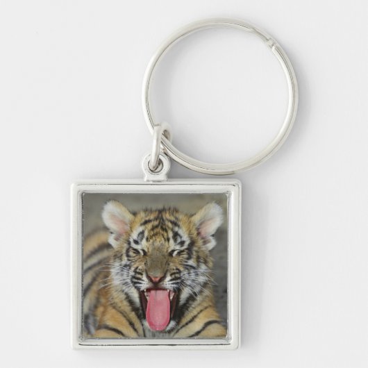 Bengaltijger Sleutelhanger (Voorkant)