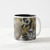 Bengaltijger Tweekleurige Koffiemok (Voorkant rechts)