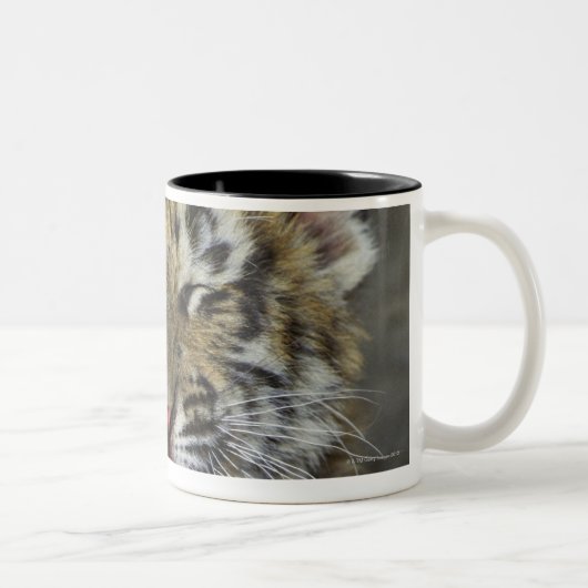 Bengaltijger Tweekleurige Koffiemok (Rechts)