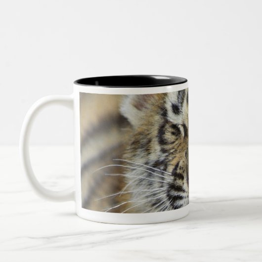 Bengaltijger Tweekleurige Koffiemok (Links)