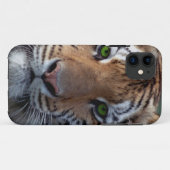 Bengel Tiger groene ogen Case-Mate iPhone Case (Achterkant (horizontaal))